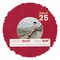 Red Suede Mat Board for 12x12 Frames - Circle Opening for 8x8 Photos